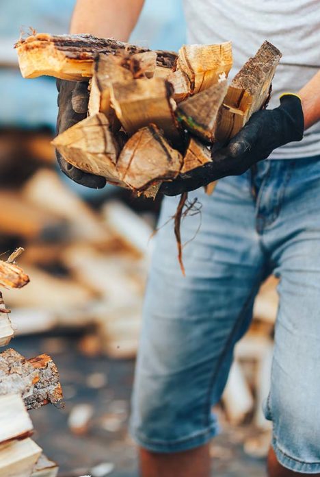 Type de chauffage au bois